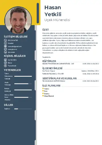 Havacılık Ve Uzay Uçak Mühendisi Cv Örnekleri cv indir